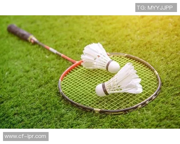 羽毛球的魅力与挑战：探寻杭州羽毛球队的训练与比赛节奏